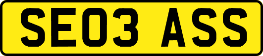 SE03ASS