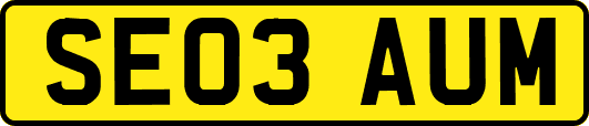 SE03AUM