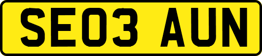 SE03AUN