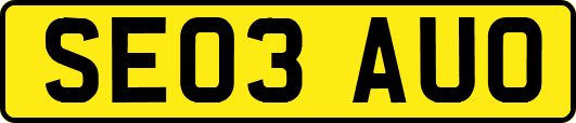 SE03AUO