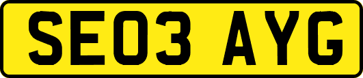 SE03AYG