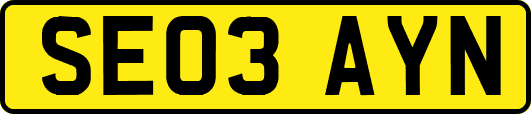 SE03AYN