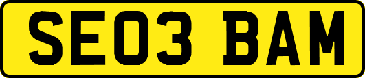 SE03BAM
