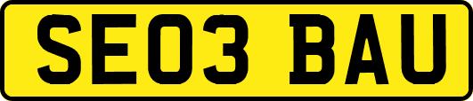 SE03BAU