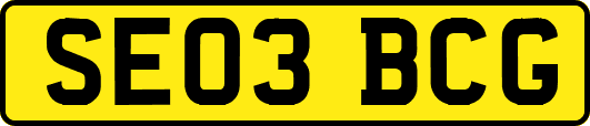 SE03BCG