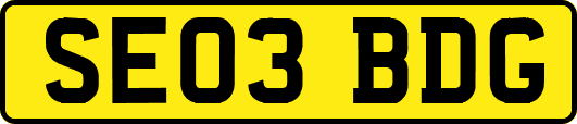 SE03BDG