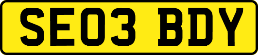 SE03BDY
