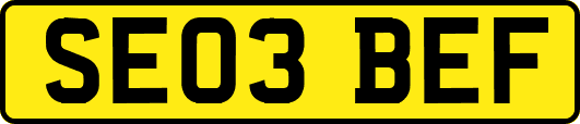 SE03BEF