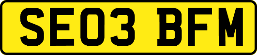 SE03BFM
