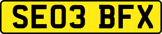 SE03BFX