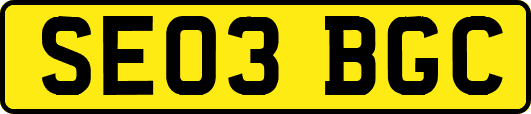 SE03BGC