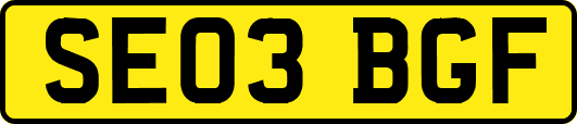 SE03BGF