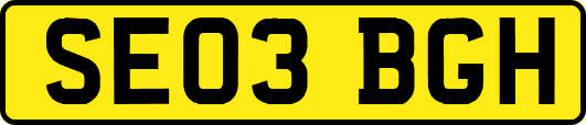SE03BGH