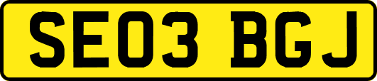 SE03BGJ