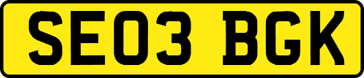 SE03BGK