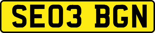 SE03BGN