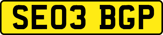 SE03BGP