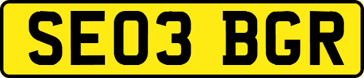 SE03BGR