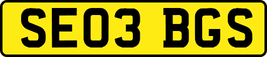 SE03BGS