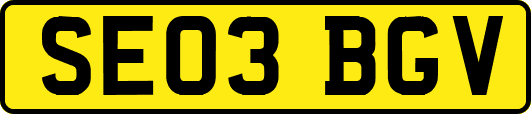 SE03BGV