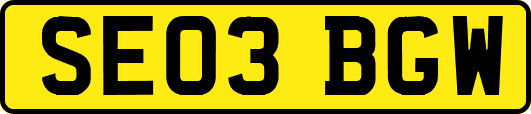 SE03BGW