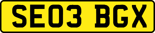 SE03BGX