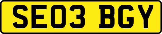 SE03BGY