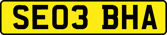 SE03BHA