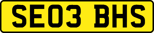 SE03BHS