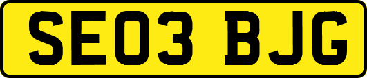 SE03BJG
