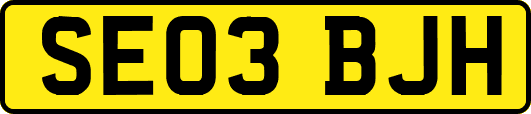 SE03BJH