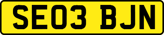 SE03BJN
