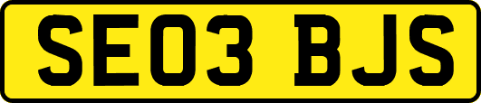SE03BJS