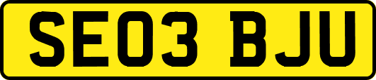 SE03BJU