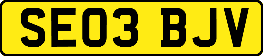 SE03BJV
