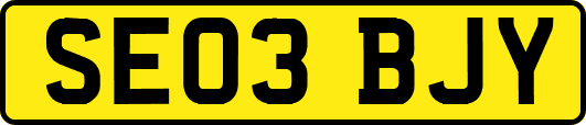 SE03BJY