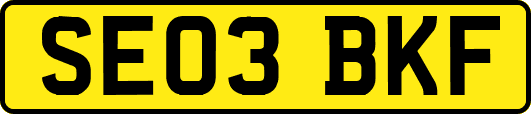 SE03BKF