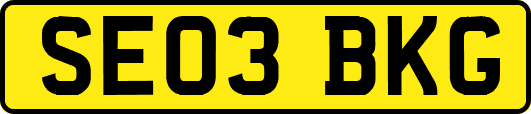 SE03BKG