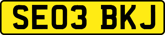 SE03BKJ