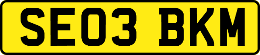 SE03BKM
