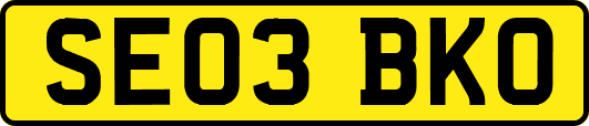 SE03BKO