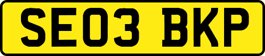 SE03BKP