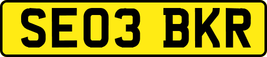 SE03BKR