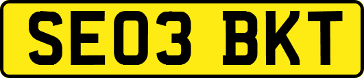 SE03BKT