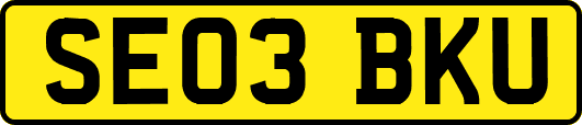 SE03BKU