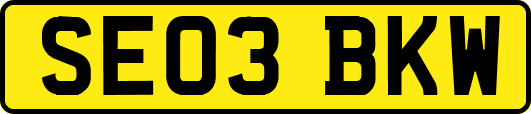 SE03BKW