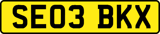 SE03BKX