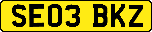 SE03BKZ