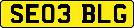 SE03BLG