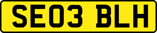 SE03BLH